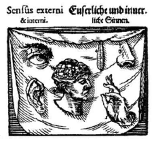 (Orbis Pictus 1954) el primer texto visual en la historia de la pedagogía e introdujo el teatro como un instrumento auxiliar en aprendizaje escolar.