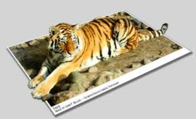 went to the zoo in Omaha