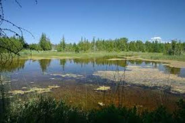 Moms birthday celebration