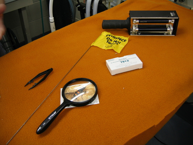 The Examination and Typing of Bloodstains in the Crime Laboratory