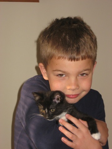 Getting my cat, Moufie