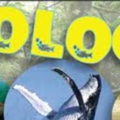 Timeline: LINEA DEL TIEMPO