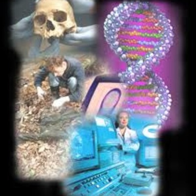 Timeline: Forensics Science 1945-1965