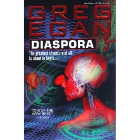 Greg Egan's novel 'Diaspora'