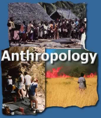 Anthropology
