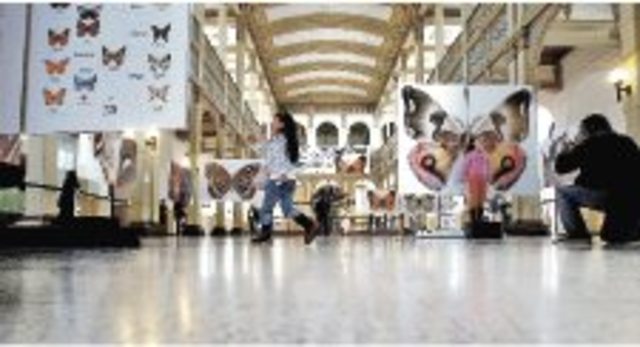 MHN logra record de visitas en 3 meses: 217 mil personas