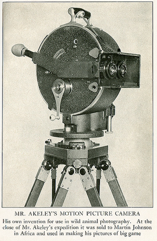 motion pics projector