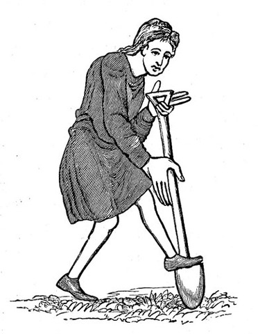 Emancipation of the serfs