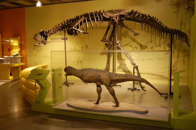 MNHN lleva exposición a Estación Quinta Normal del Metro