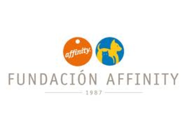 Fundacion Affinity  IX Congreso Internacional
