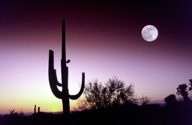 Move #1 to Phoenix, AZ