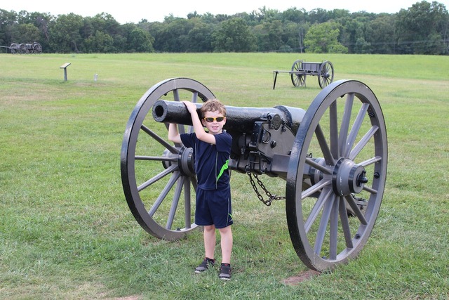 Cannon at Manasas