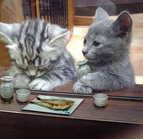 The Beginning of this timeline