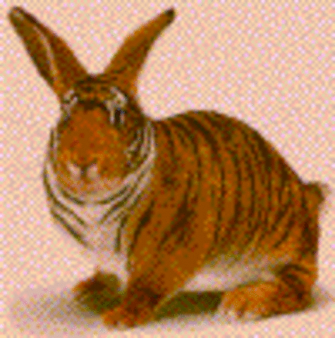 Genetically Engineered Animals