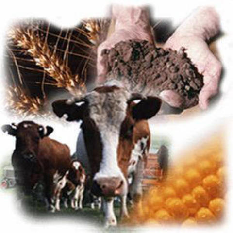 imtroduction of farming and livestock