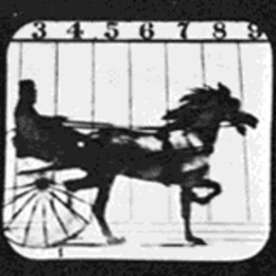 Timeline: 1876-1900 Maria,Chris,Miguel,Candy,Carlos