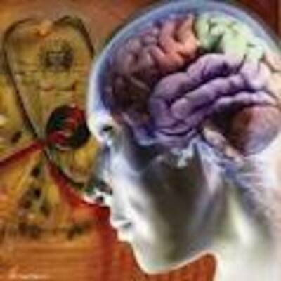 Timeline: Orígenes de las Neurociencias NRRM