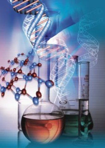 ESTUDIOS/LABORES DE ACADEMIA