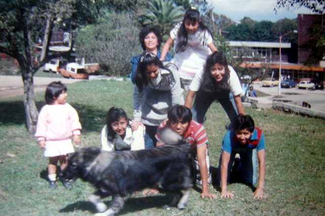 Mi contacto familiar