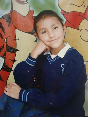 Mis estudios de primaria