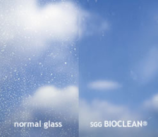 Self-Cleaning Glass