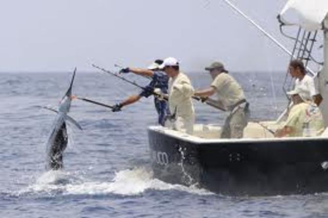 Transformación en unidad especial de manejo de la pesca y acuicultura UNEPA-