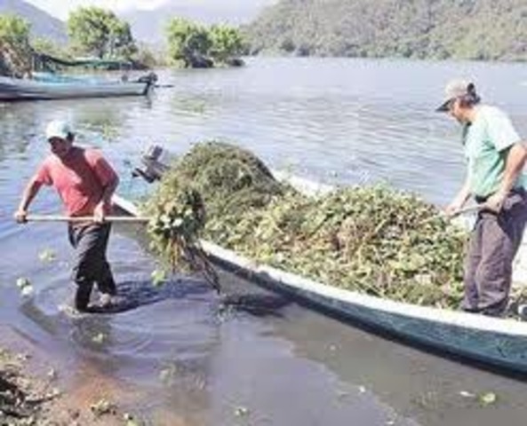 Aprobación del plan de manejo del lago de Atitlan.