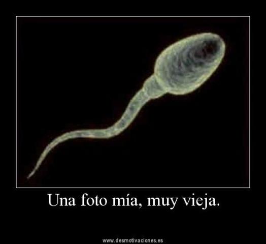 Yo 9 meses antes de nacer