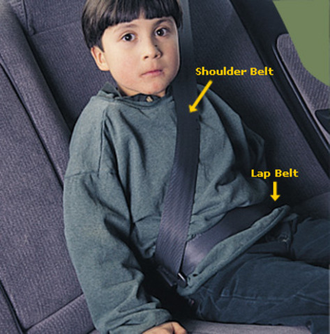 Seatbelt