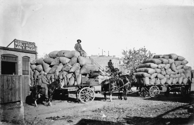 Villa de Albuquerque