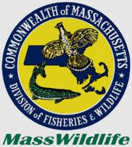 First game and fish commission