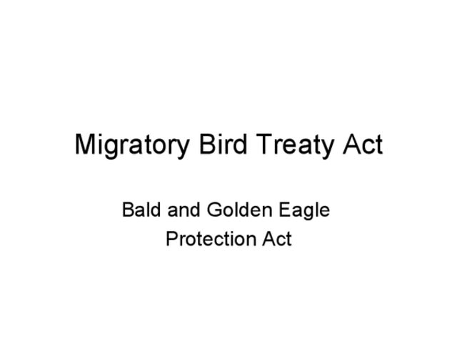 Migratorty Bird Treaty Act