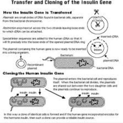 Timeline: Past, Present, and Future of DNA Technology