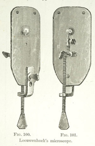 High-Powered Microscope