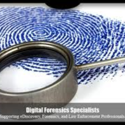 Timeline: History of Forrensics from 1995 to Present Day