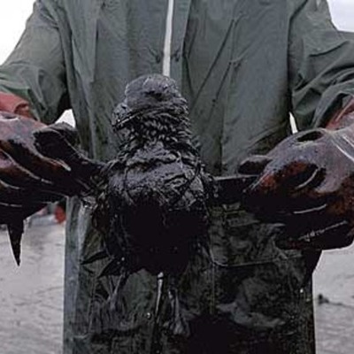 Timeline: Natural Disasters - Oil Spills