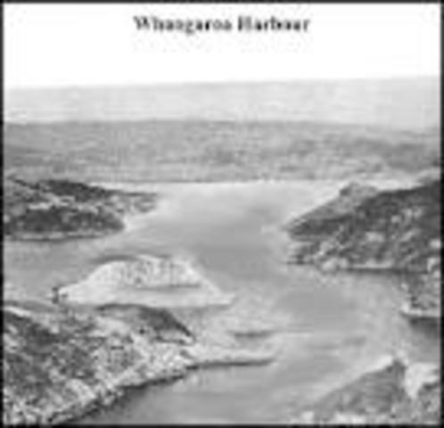 Anchors in Port Jackson.