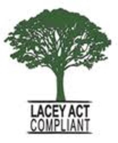 The Lacey Act