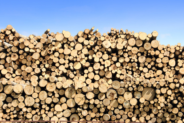 Controling Sale of Timber