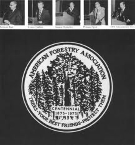 American Forest Association