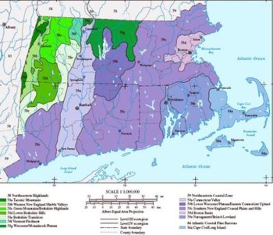 Conneticut and Massachusetts imopsed limits on deer hunting