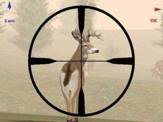 Regulations for deer hunting were imposed by the charter of Newport, Rhode Island.