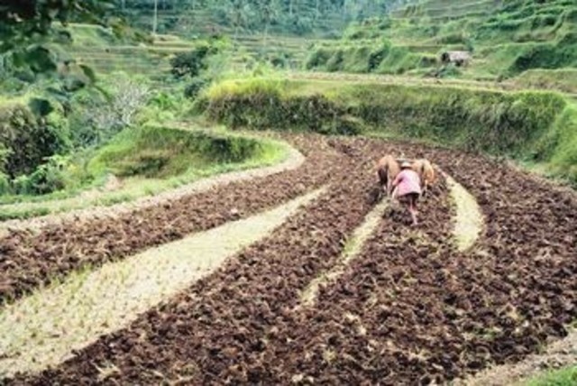 Soil Erosion Serivce moved to Department of Agriculture