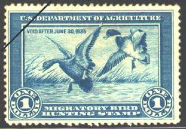 Duck Stamp Act passed