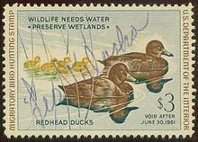 The Duck Stamp Act was passed