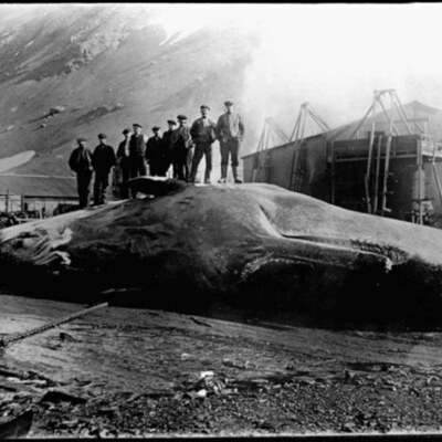 Timeline: 19th Century Science and Literature