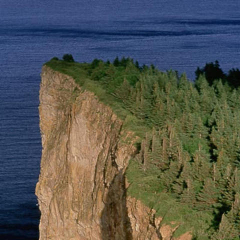 Rainsford Jumps Off a Cliff!