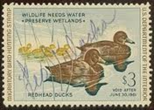 Duck Stamp Act passed