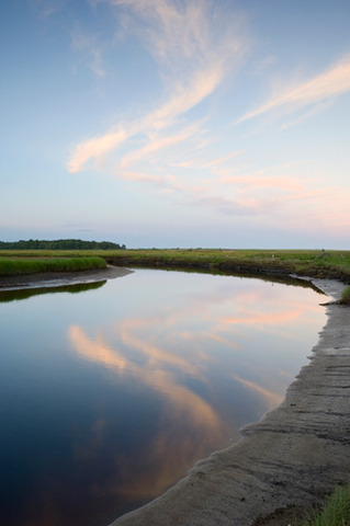 The weaks law gave the president authority to purchase forest lands for river watershed protection