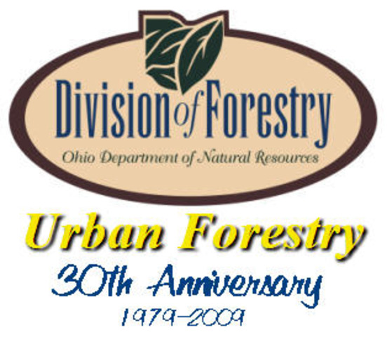 Forestry office became the Division of Forestry of the USDA.